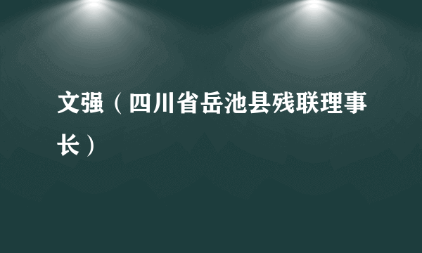 文强（四川省岳池县残联理事长）