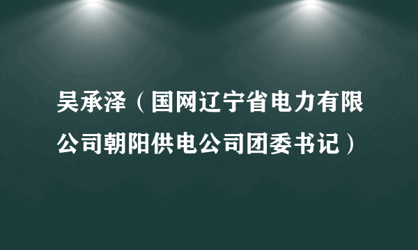 吴承泽（国网辽宁省电力有限公司朝阳供电公司团委书记）