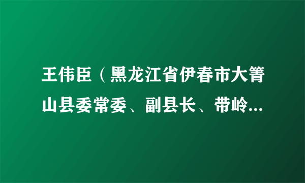 王伟臣（黑龙江省伊春市大箐山县委常委、副县长、带岭镇党委书记）