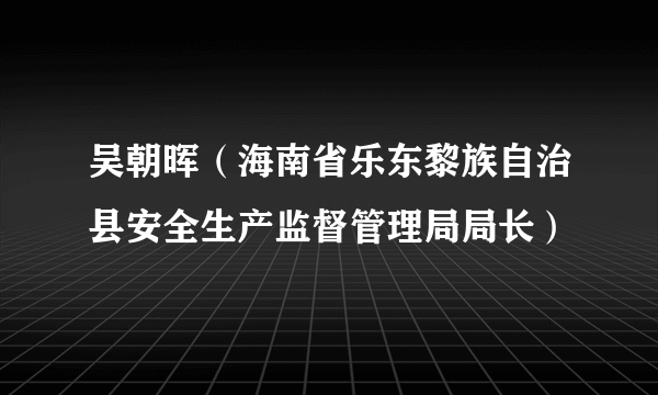 吴朝晖（海南省乐东黎族自治县安全生产监督管理局局长）