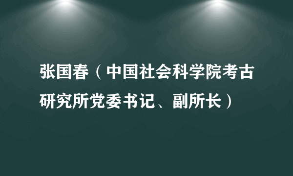 张国春（中国社会科学院考古研究所党委书记、副所长）