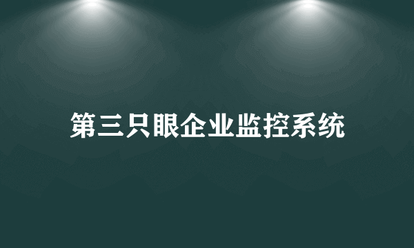 第三只眼企业监控系统