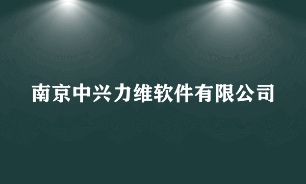 南京中兴力维软件有限公司