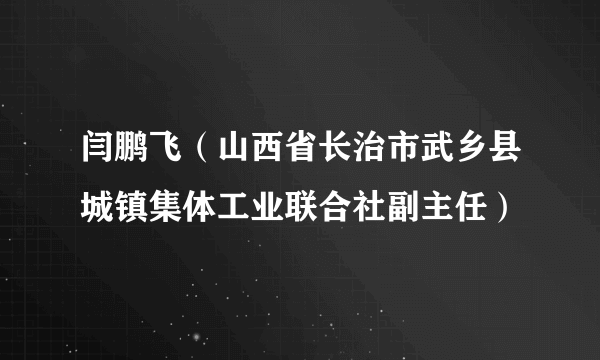 闫鹏飞（山西省长治市武乡县城镇集体工业联合社副主任）