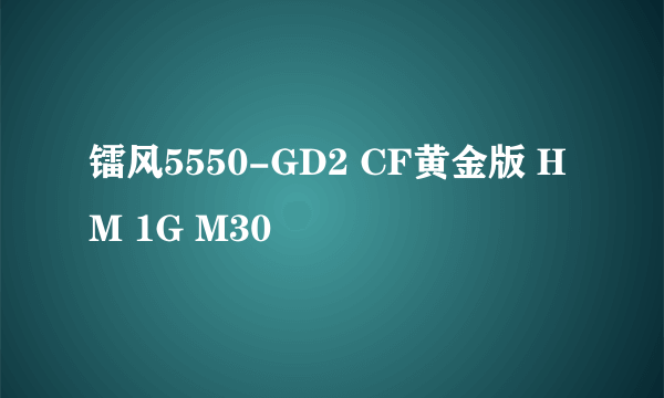 镭风5550-GD2 CF黄金版 HM 1G M30