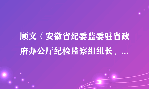 顾文（安徽省纪委监委驻省政府办公厅纪检监察组组长、省政府机关党组成员）