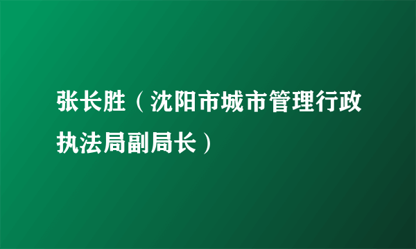 张长胜（沈阳市城市管理行政执法局副局长）