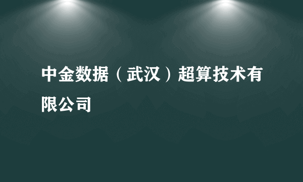 中金数据（武汉）超算技术有限公司