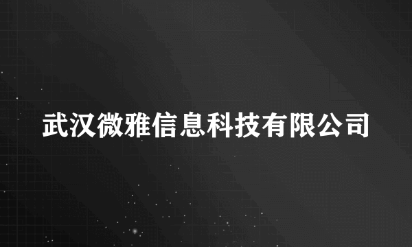 武汉微雅信息科技有限公司