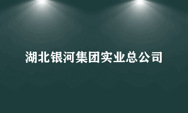 湖北银河集团实业总公司