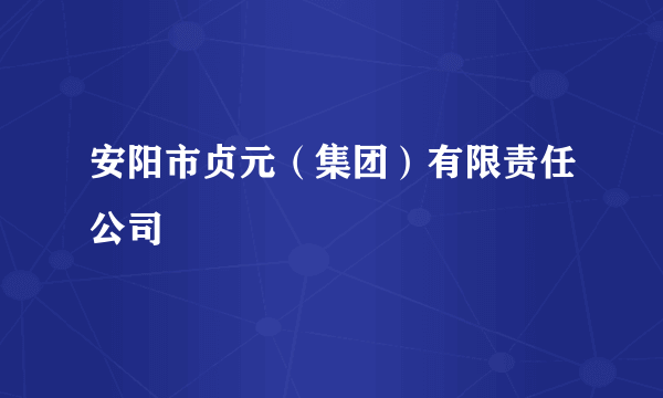 安阳市贞元（集团）有限责任公司