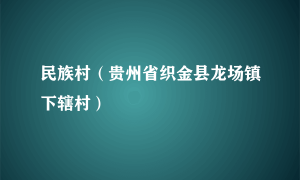 民族村（贵州省织金县龙场镇下辖村）