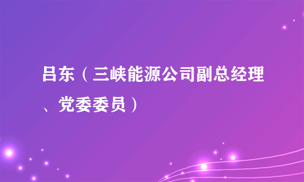 吕东（三峡能源公司副总经理、党委委员）