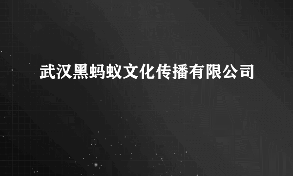 武汉黑蚂蚁文化传播有限公司