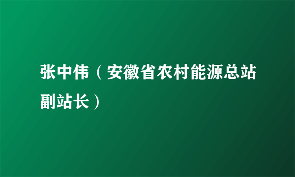 张中伟（安徽省农村能源总站副站长）