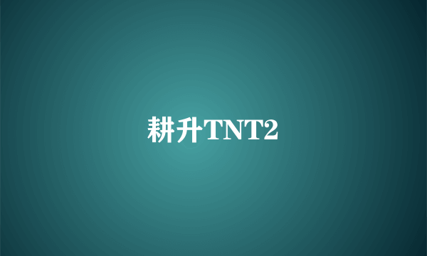 耕升TNT2