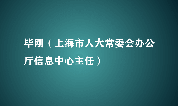 毕刚（上海市人大常委会办公厅信息中心主任）