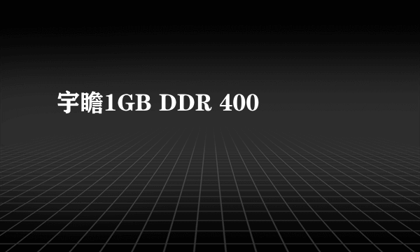 宇瞻1GB DDR 400