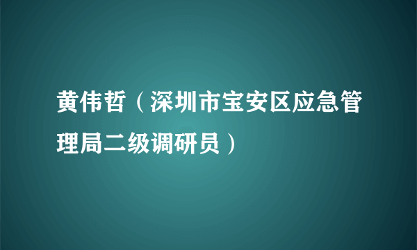 黄伟哲（深圳市宝安区应急管理局二级调研员）