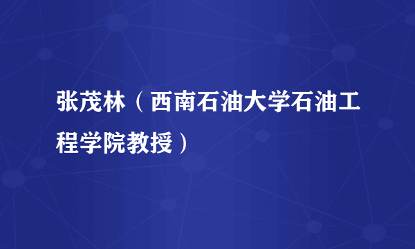 张茂林（西南石油大学石油工程学院教授）