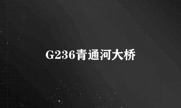 G236青通河大桥