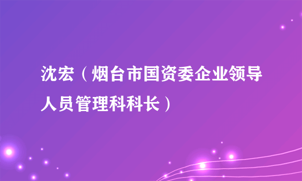 沈宏（烟台市国资委企业领导人员管理科科长）