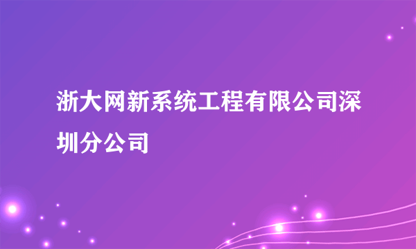 浙大网新系统工程有限公司深圳分公司