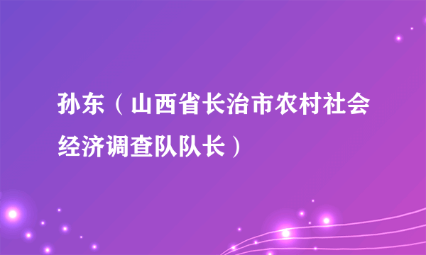 孙东（山西省长治市农村社会经济调查队队长）