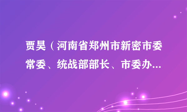 贾昊（河南省郑州市新密市委常委、统战部部长、市委办公室主任）