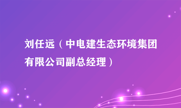 刘任远（中电建生态环境集团有限公司副总经理）