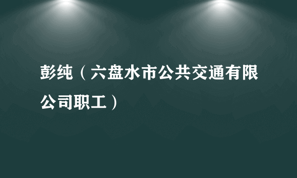 彭纯（六盘水市公共交通有限公司职工）