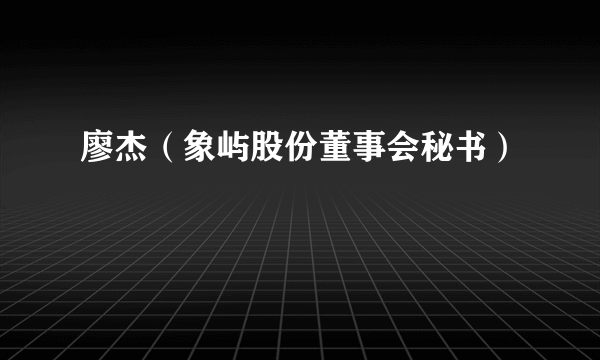 廖杰（象屿股份董事会秘书）