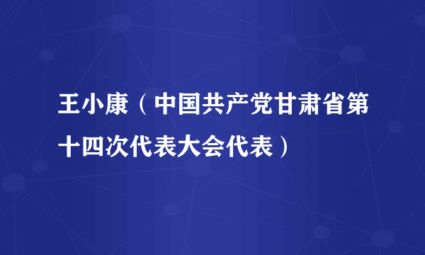 王小康（中国共产党甘肃省第十四次代表大会代表）