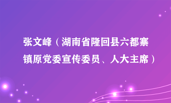 张文峰（湖南省隆回县六都寨镇原党委宣传委员、人大主席）