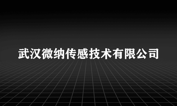 武汉微纳传感技术有限公司