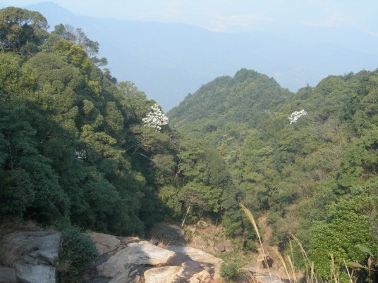 黄草梁风景区