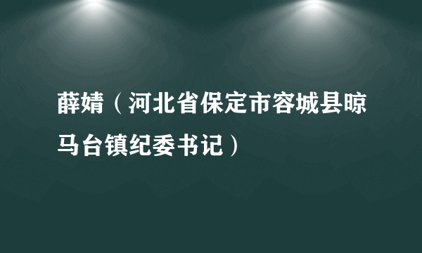 薛婧（河北省保定市容城县晾马台镇纪委书记）