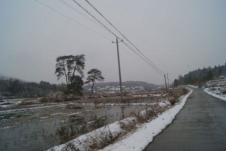 杨林村（湖南省宁乡市花明楼镇杨林村）