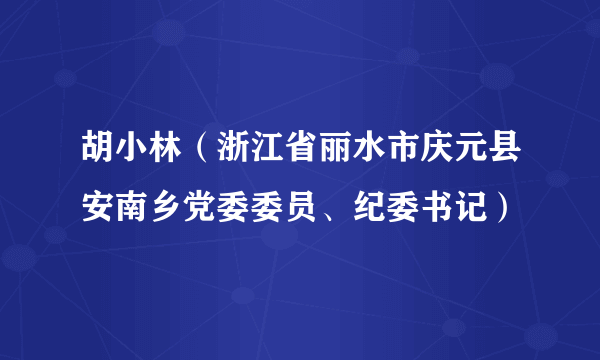 胡小林（浙江省丽水市庆元县安南乡党委委员、纪委书记）