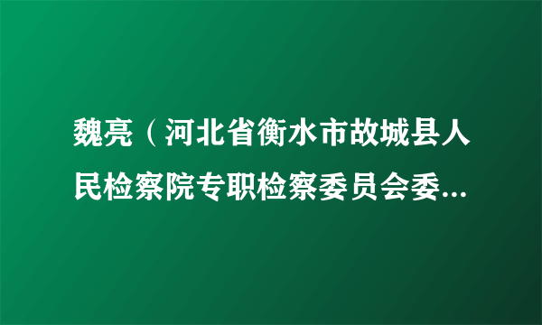 魏亮（河北省衡水市故城县人民检察院专职检察委员会委员，一级检察官）