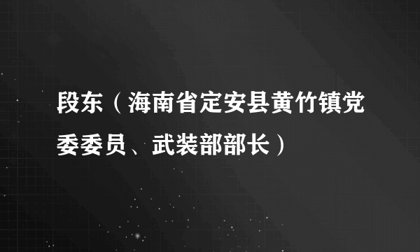 段东（海南省定安县黄竹镇党委委员、武装部部长）