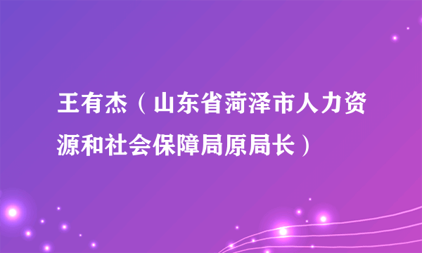 王有杰（山东省菏泽市人力资源和社会保障局原局长）