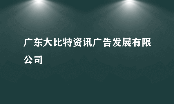 广东大比特资讯广告发展有限公司