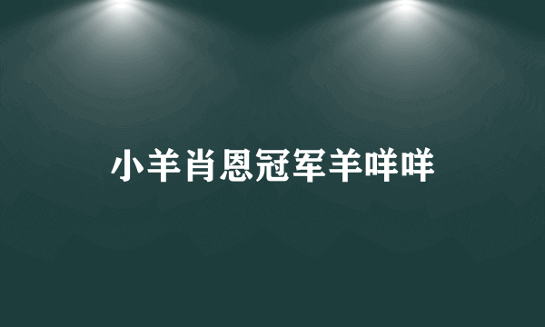 小羊肖恩冠军羊咩咩