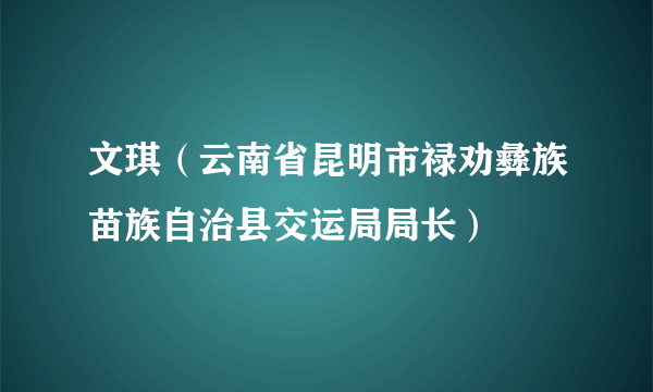 文琪（云南省昆明市禄劝彝族苗族自治县交运局局长）