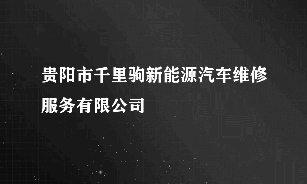 贵阳市千里驹新能源汽车维修服务有限公司