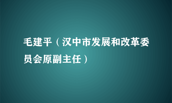 毛建平（汉中市发展和改革委员会原副主任）