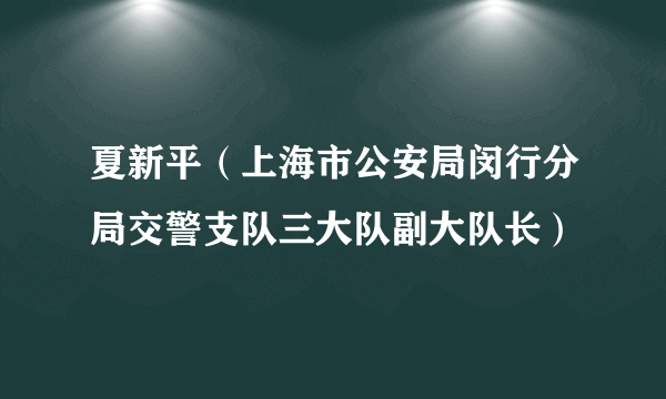 夏新平（上海市公安局闵行分局交警支队三大队副大队长）