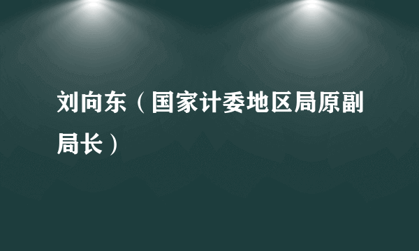 刘向东（国家计委地区局原副局长）