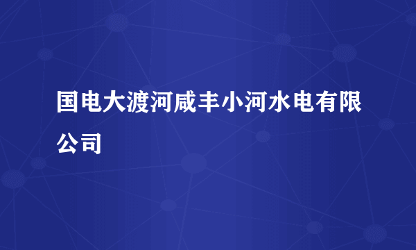 国电大渡河咸丰小河水电有限公司